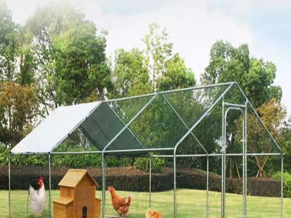 Chicken Coop House Chicken Coop Pet Houses & Furniture