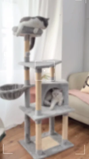 Torre tiragraffi per gatti ISO RoHS di Pet Bed come articolo per animali domestici